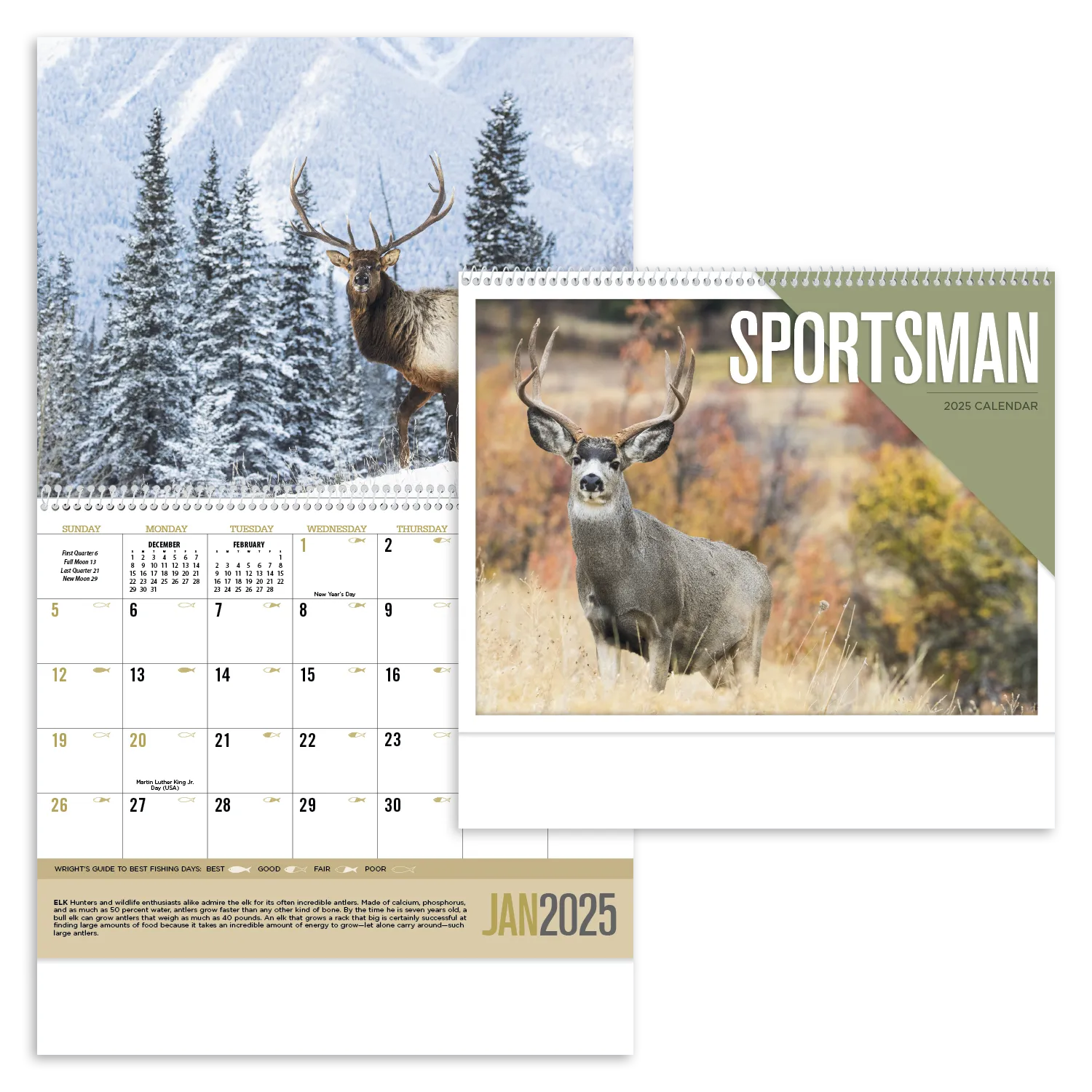 PR11971-Sportsman.webp PR11971 Sportsman