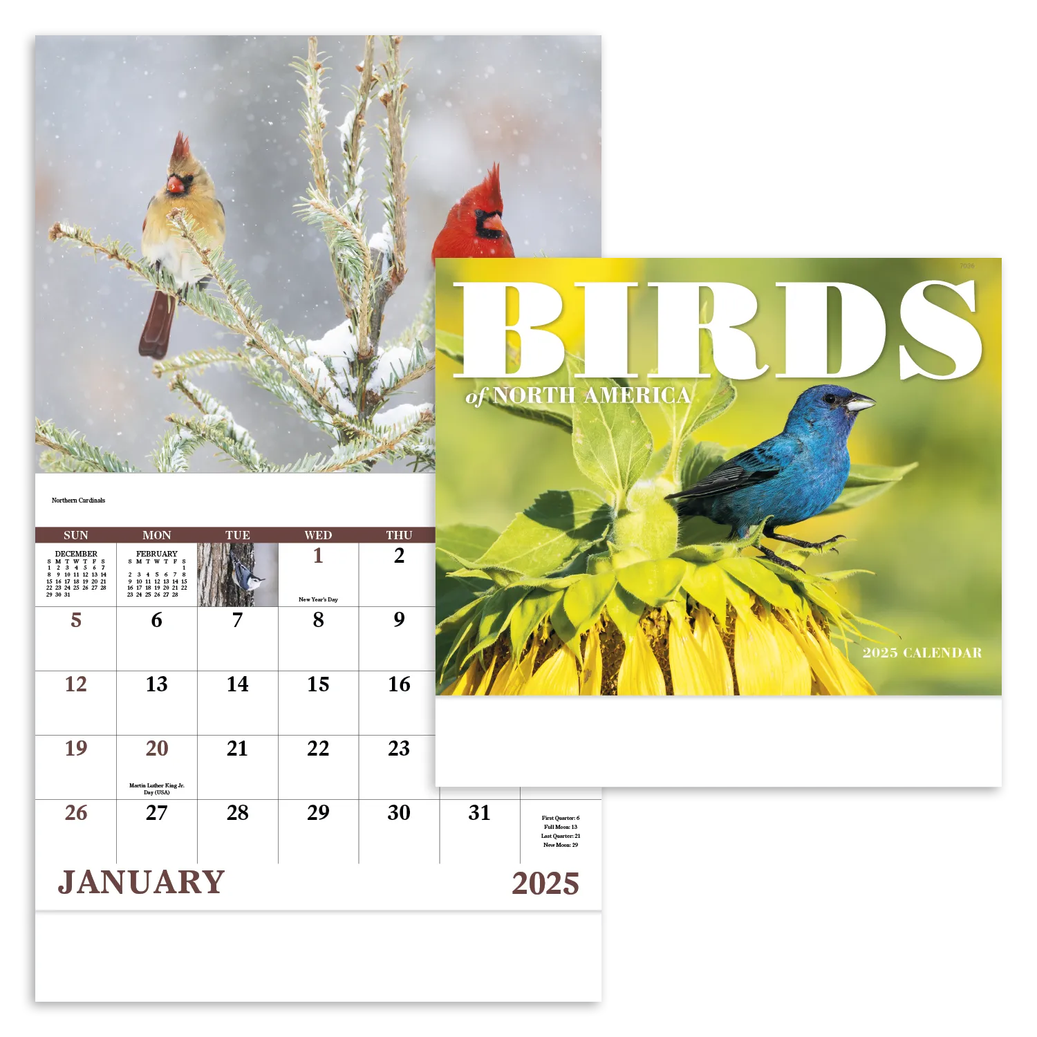 PR12537-Birds-of-North-America-Stapled.webp PR12537 Birds of North America Stapled
