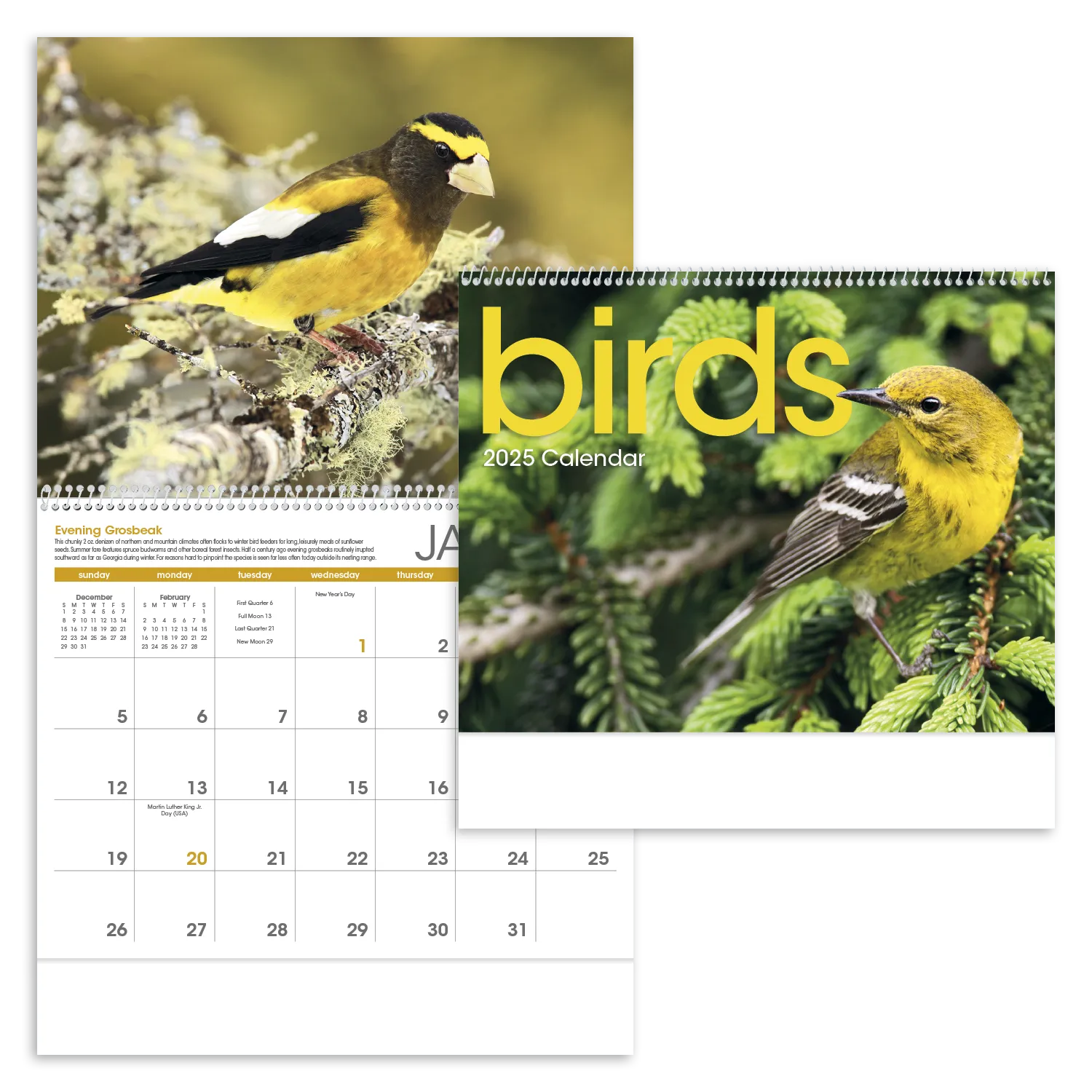 PR12873-Birds.webp PR12873 Birds