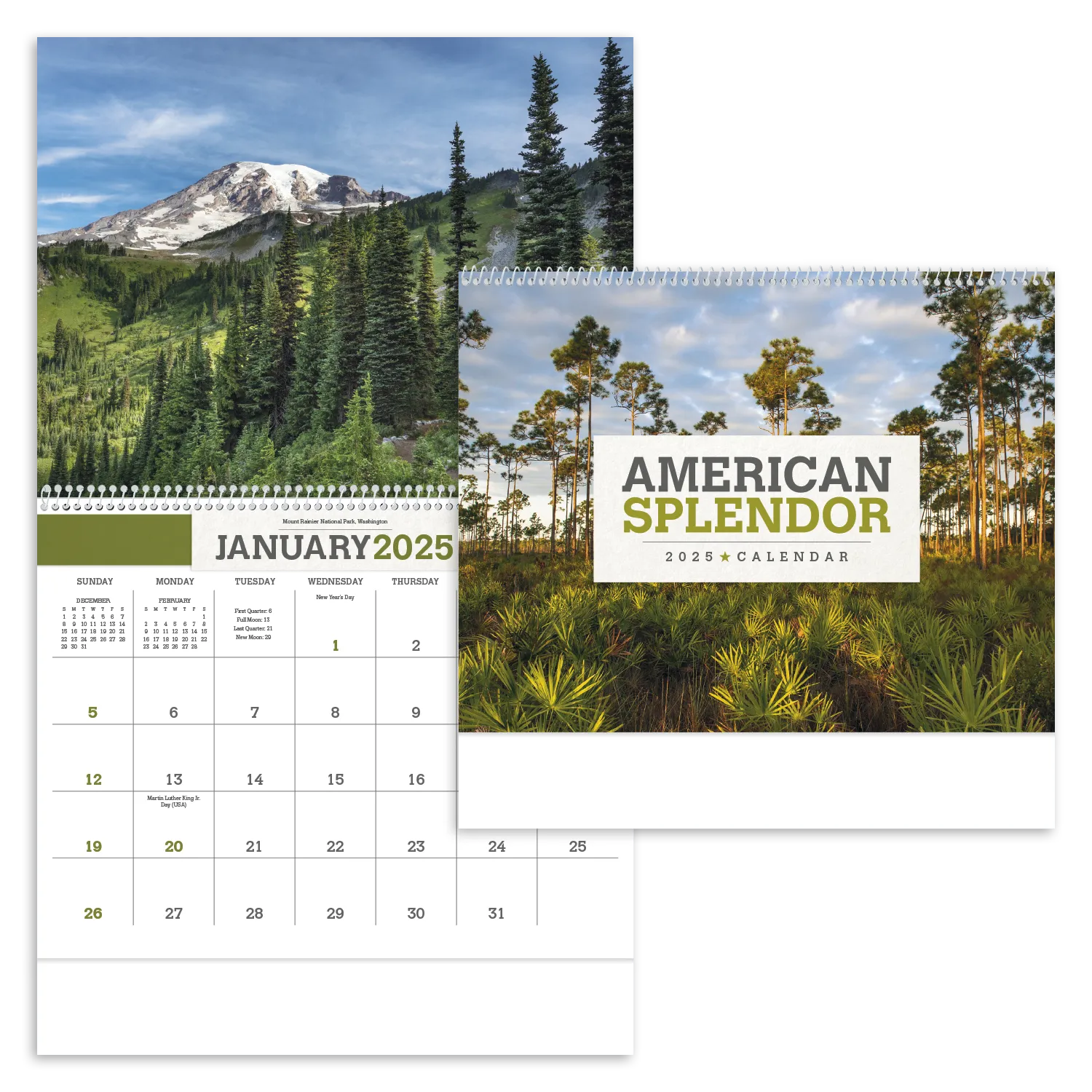PR17161-American-Splendor.webp PR17161 American Splendor