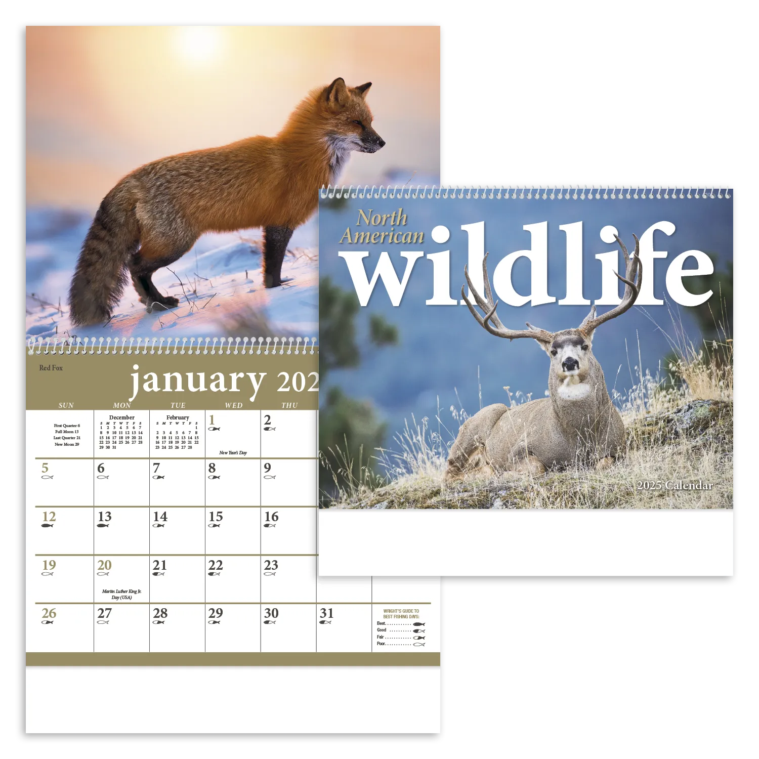 PR19465-North-American-Wildlife.webp PR19465 North American Wildlife