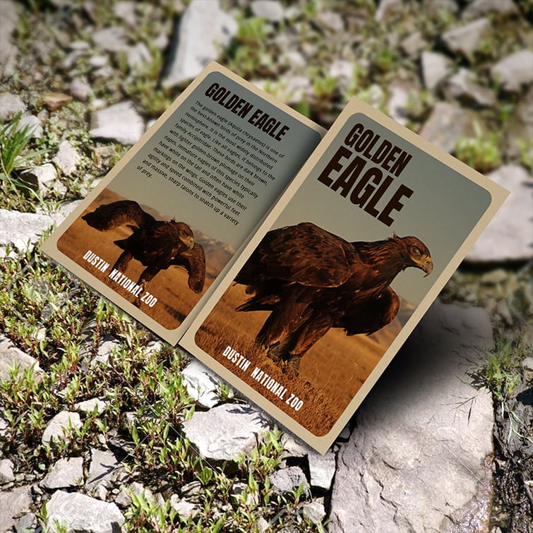 Brown-Kraft-Trading-Card-Informative-Collectible.jpg Brown Kraft Trading Cards with printed color on Both Side and Thick Brown Kraft Uncoated (Uncoated - 18pt) stock for promoting business, sports team, pets, comic heros