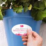 Custom Stickers | Oval shape Printed Front side with 70lb Gloss Sticker Paper Stock and UV Coating Front side and Custom Stickers for your own nursery brand | PrintMagic