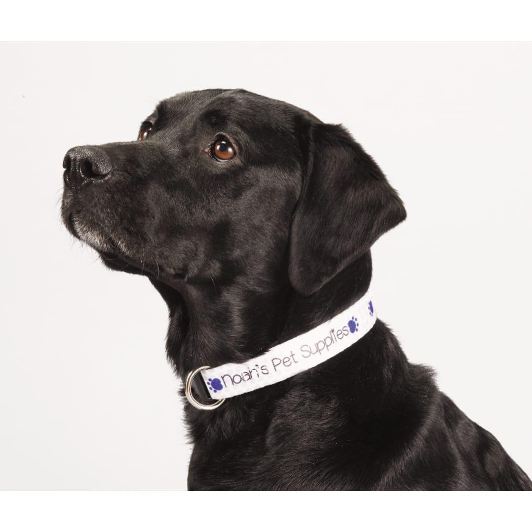 PR11103-Full-Color-1-Wide-Adjustable-Pet-Collar.jpg PR11103 Full Color 1 Wide Adjustable Pet Collar