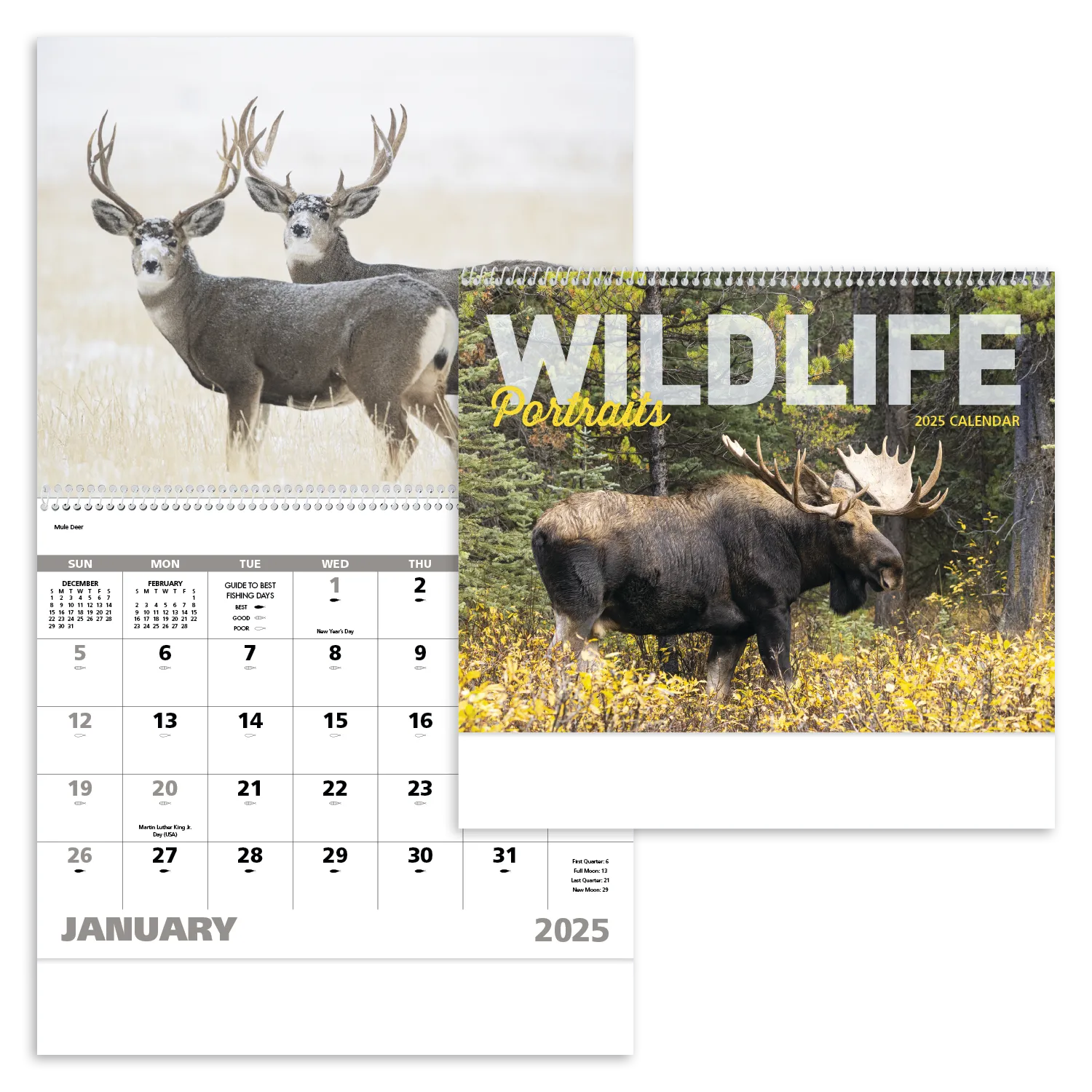 PR17181-Wildlife-Portraits-Spiral.webp PR17181 Wildlife Portraits Spiral