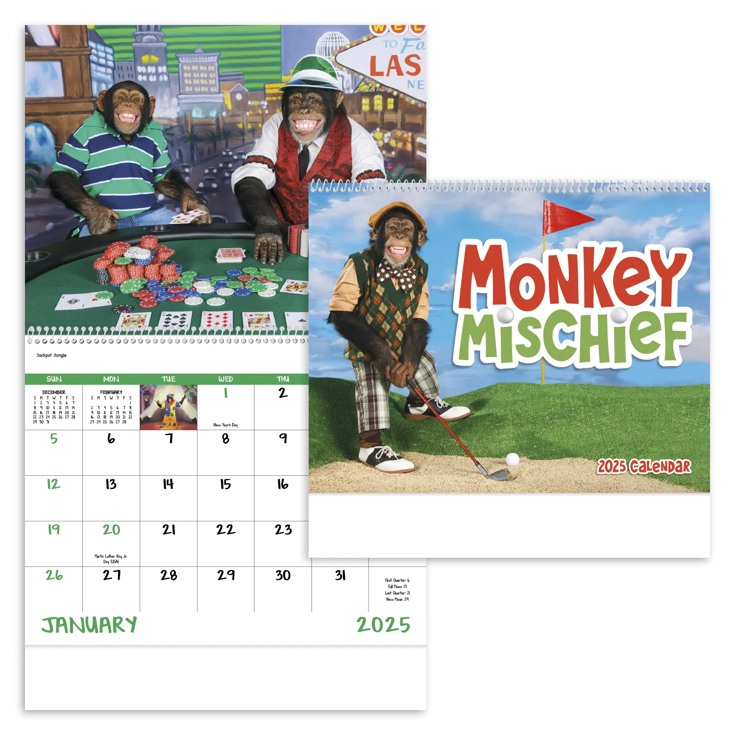 PR17613-Monkey-Mischief-Spiral.webp PR17613 Monkey Mischief Spiral