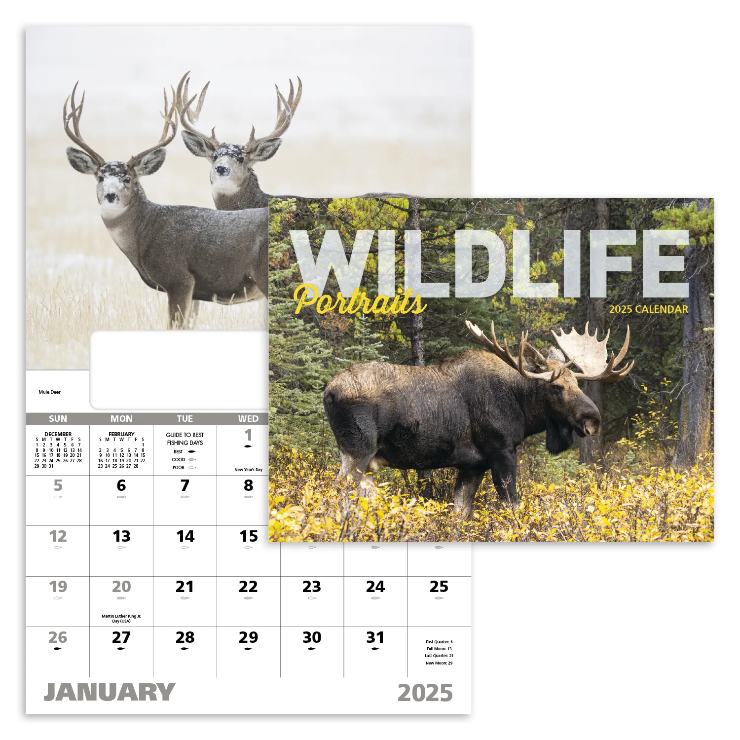 PR18047-Wildlife-Portraits-Window.webp PR18047 Wildlife Portraits Window
