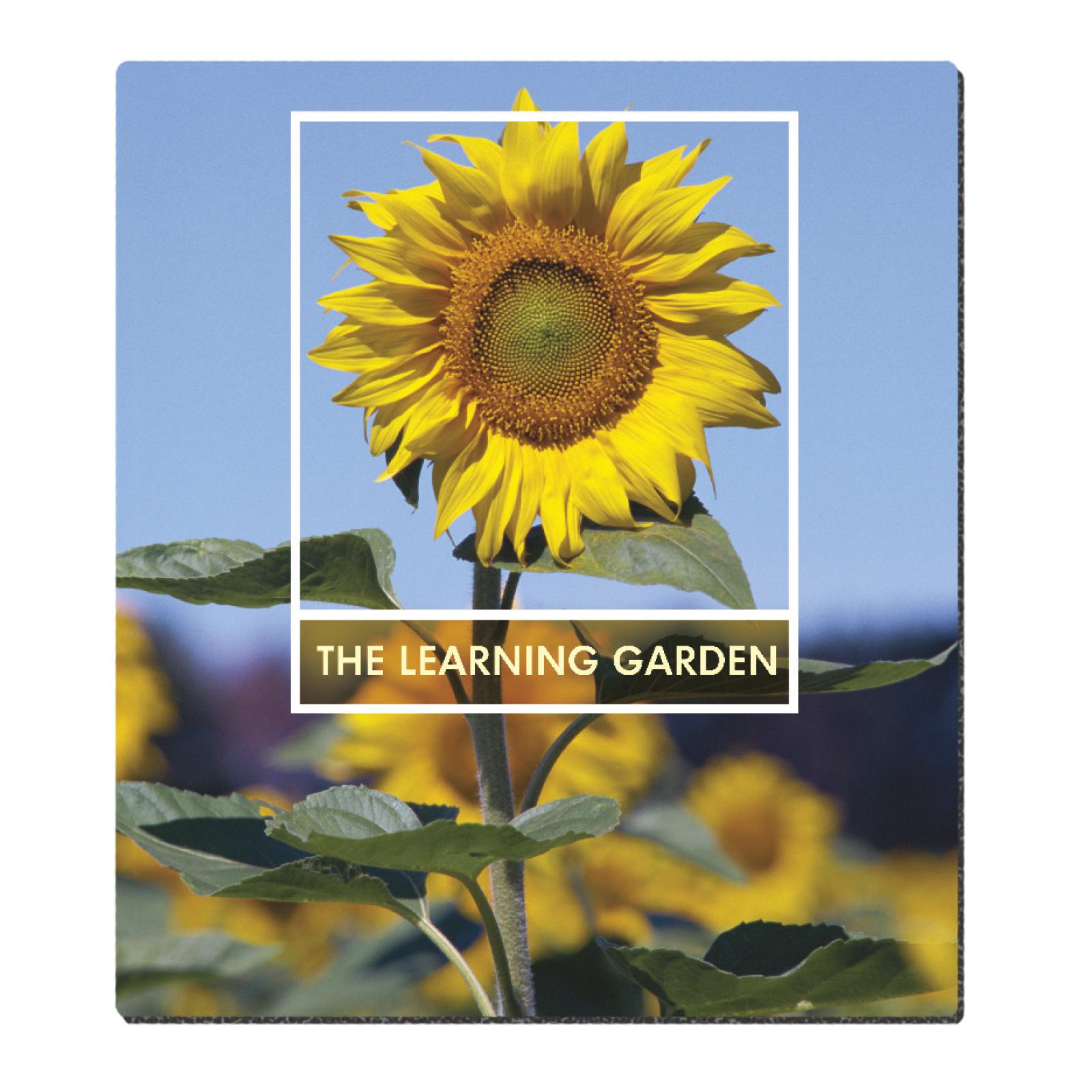 PR12805-Ultra-Thin-Firm-Mouse-Pad-7-12-x-8-12-1.jpg PR12805 Ultra Thin Firm Mouse Pad 7 12 x 8 12 1