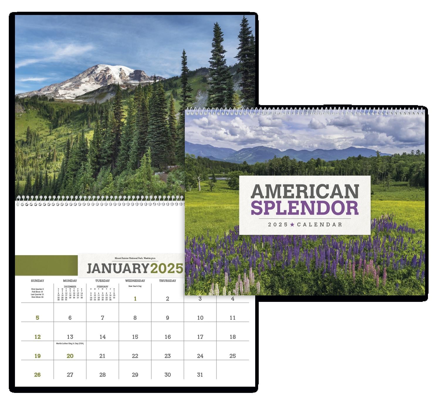 PR18229-American-Splendor-1.jpg PR18229 American Splendor 1
