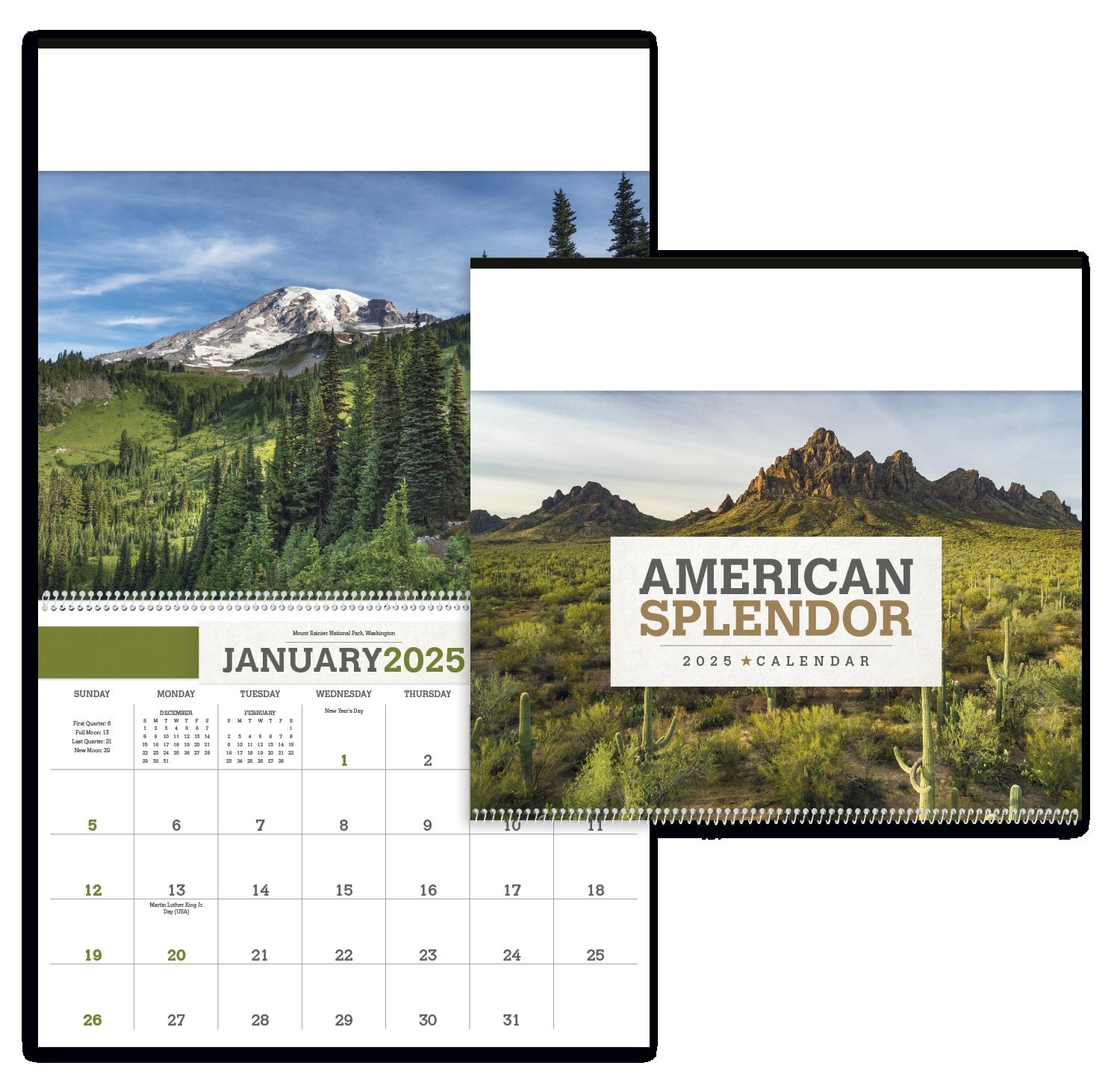 PR20687-American-Splendor-1.jpg PR20687 American Splendor 1