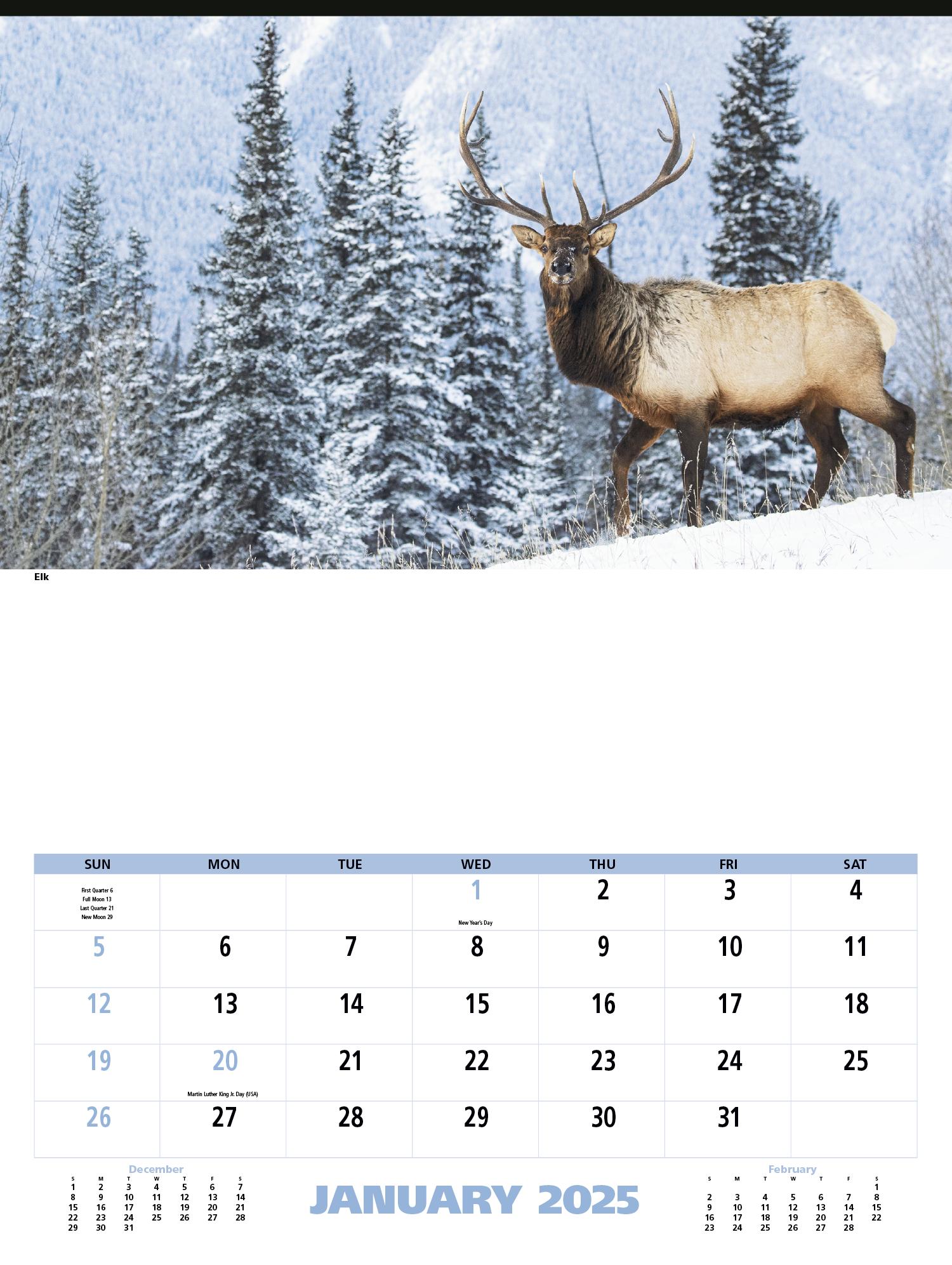 PR20791-North-American-Wildlife-1.jpg PR20791 North American Wildlife 1