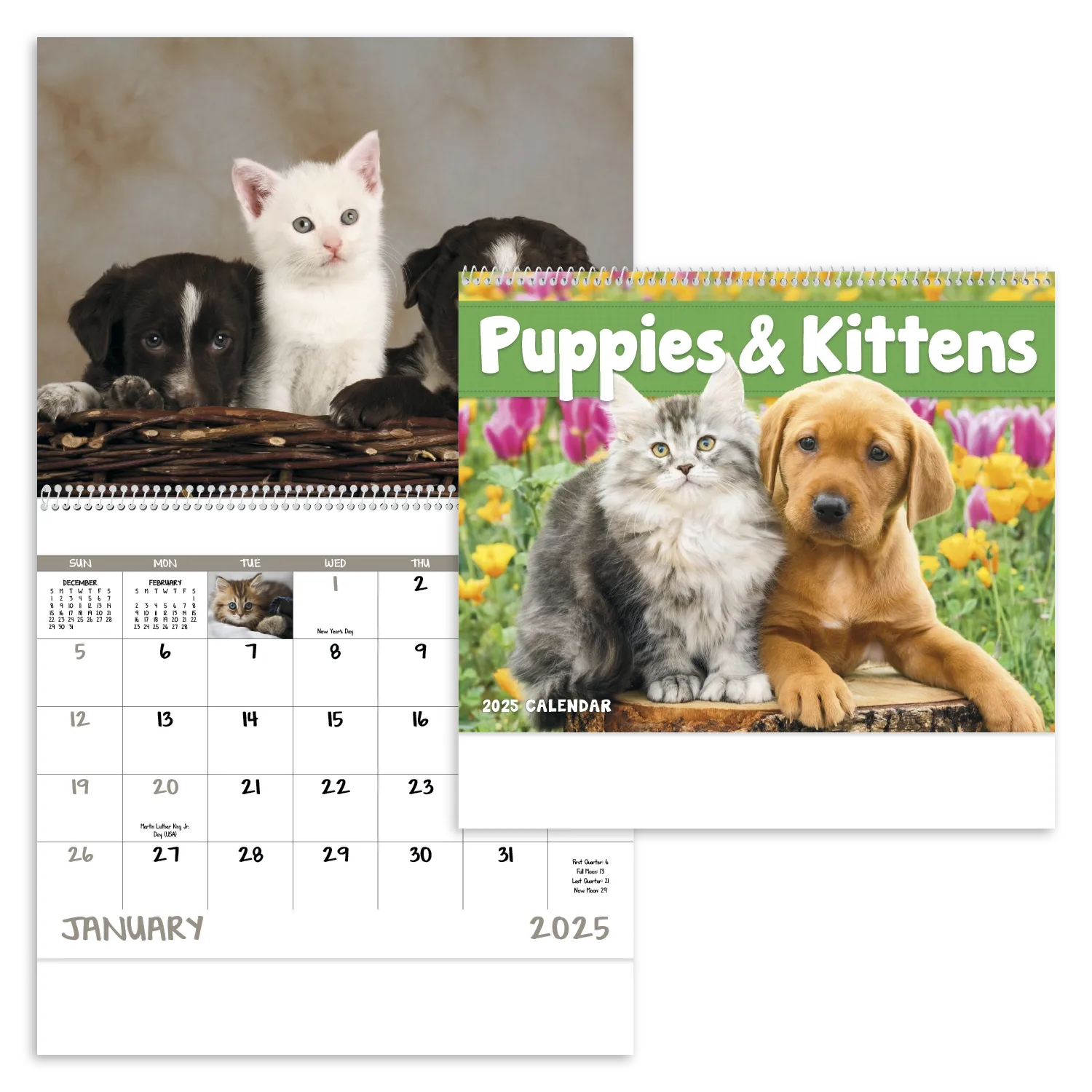 PR12845-Puppies-Kittens-Spiral.webp PR12845 Puppies Kittens Spiral