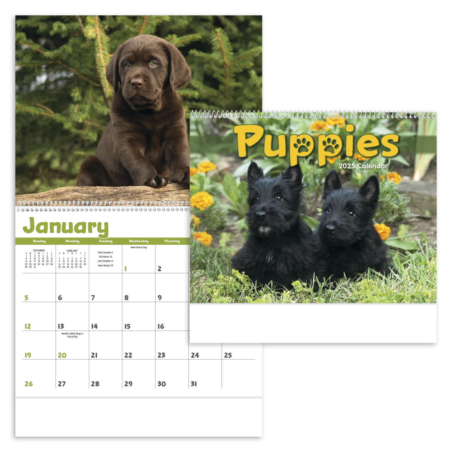 PR13347-Puppies.webp PR13347 Puppies