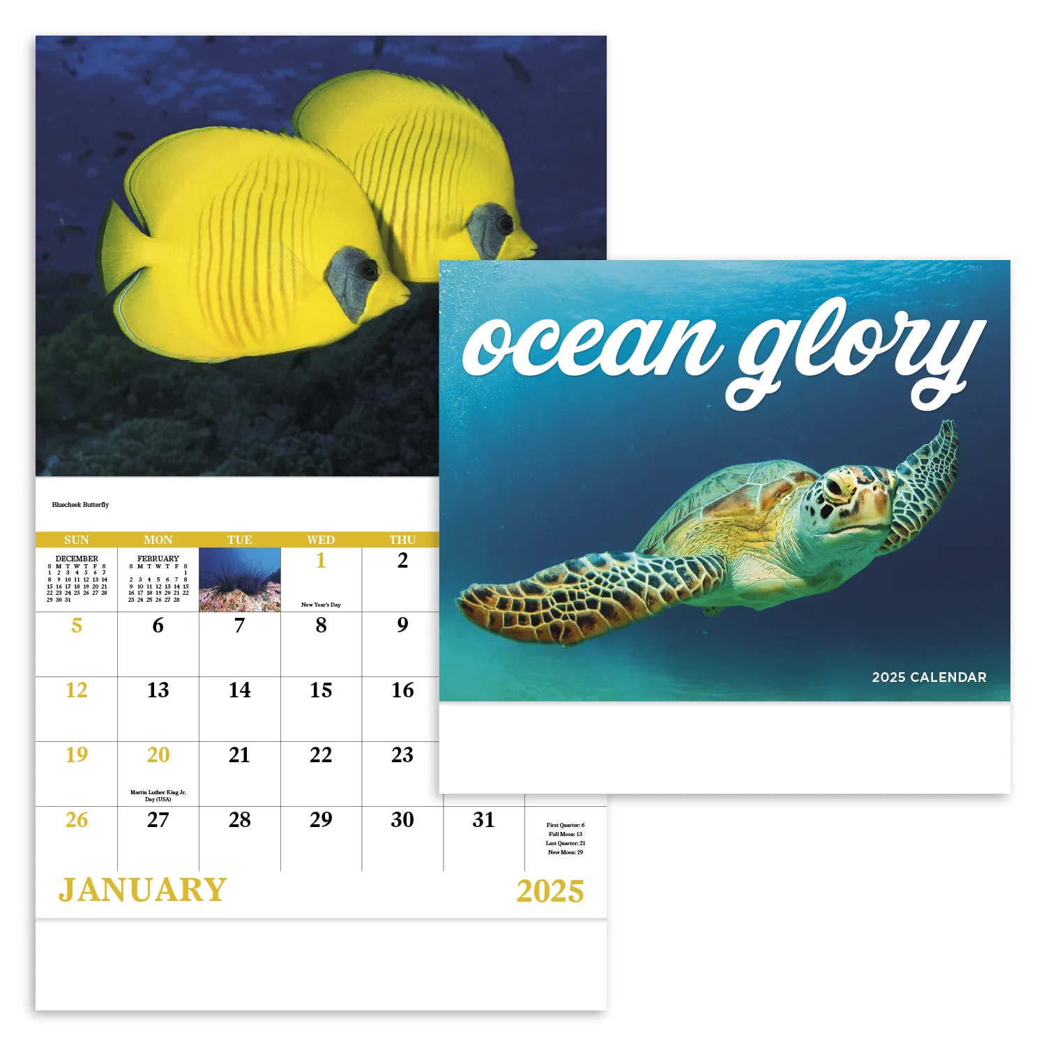 PR16047-Ocean-Glory-Stapled.webp PR16047 Ocean Glory Stapled