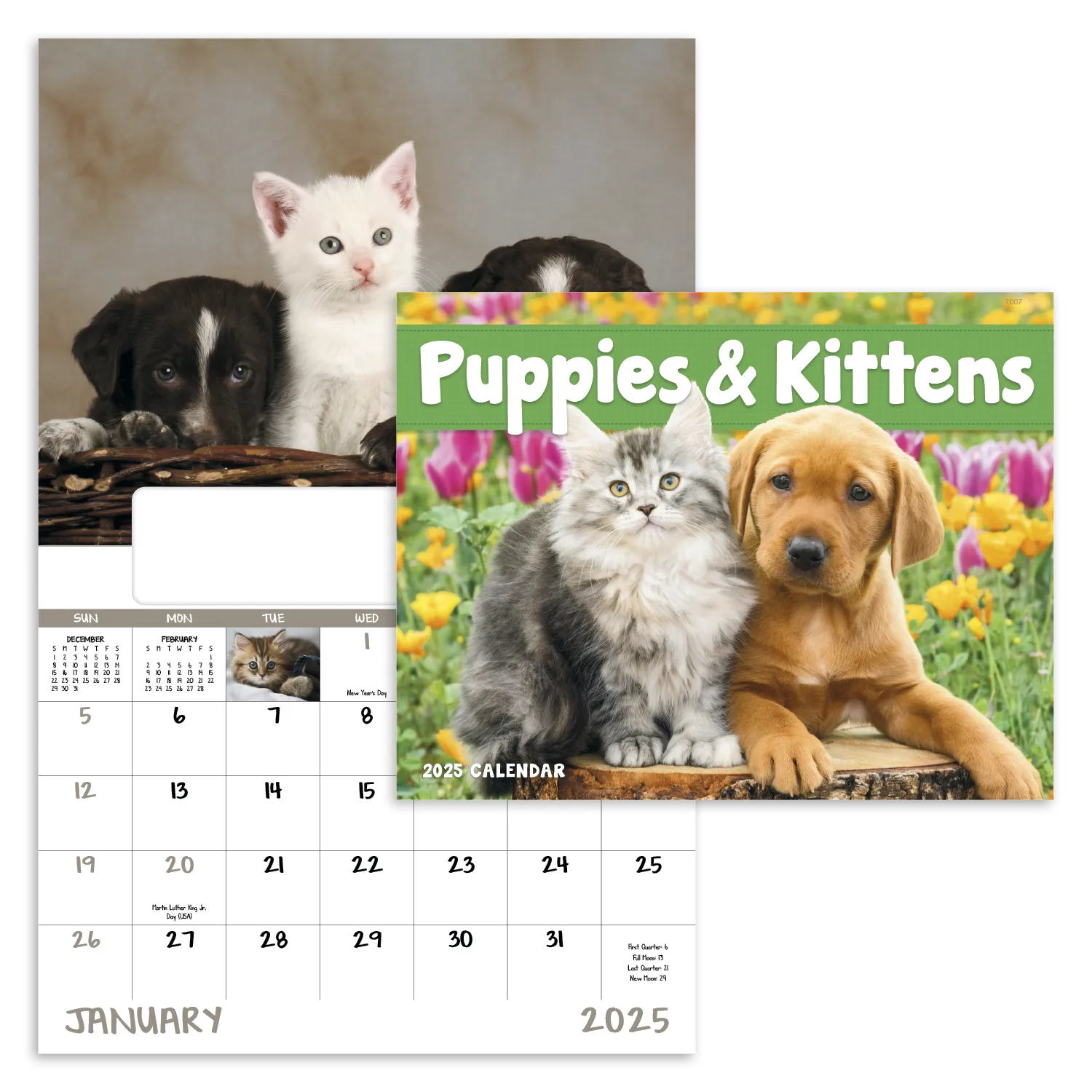 PR17765-Puppies-Kittens-Window.webp PR17765 Puppies Kittens Window