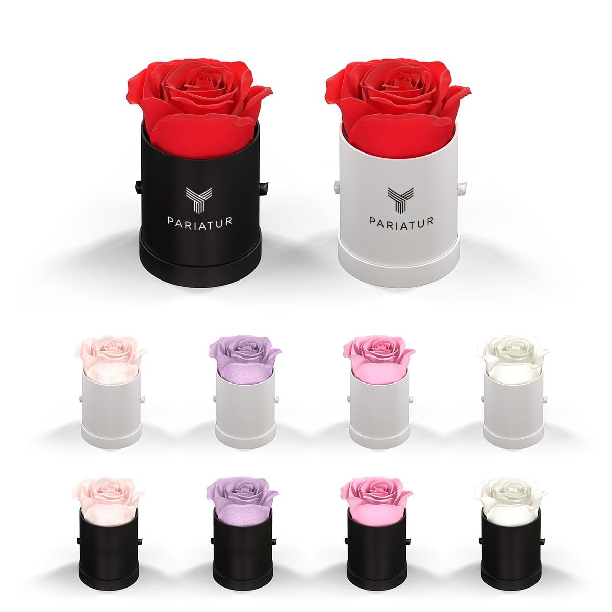 PR26541-Classique-by-VeF-Le-Mini-Round.jpg PR26541 Classique by VeF Le Mini Round