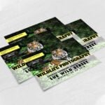 Print Pearl Metallic Postcards, High-Quality Pearl Metallic Postcards,